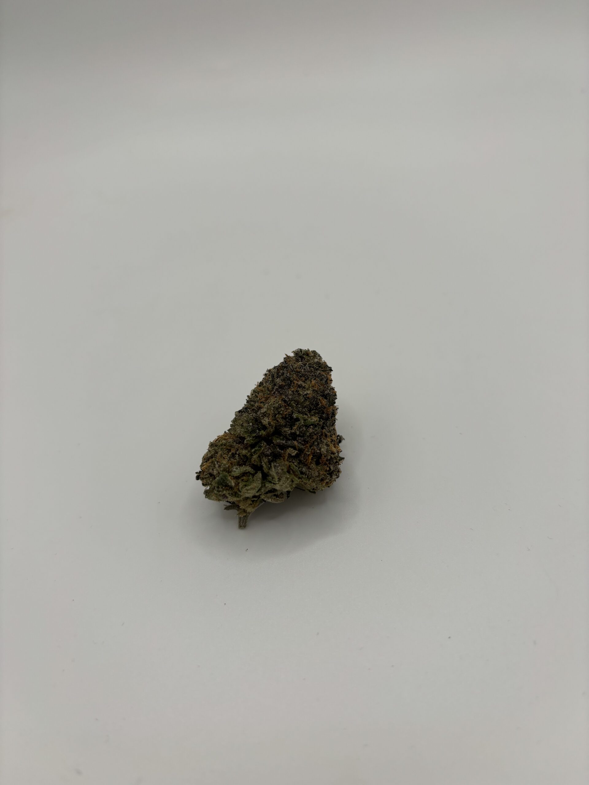 ⛽️Pink Gas Mask🤿(BC)